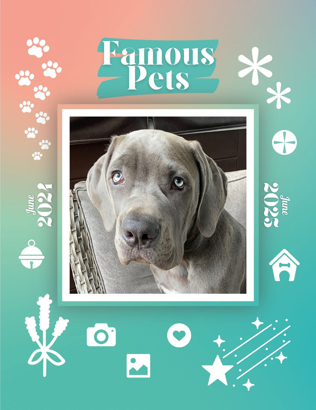Famous Pets: June 2024-June 2025 Wall Calendar (Pre-Order)