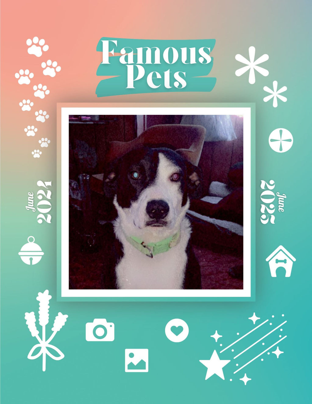 Famous Pets: June 2024-June 2025 Wall Calendar (Pre-Order)