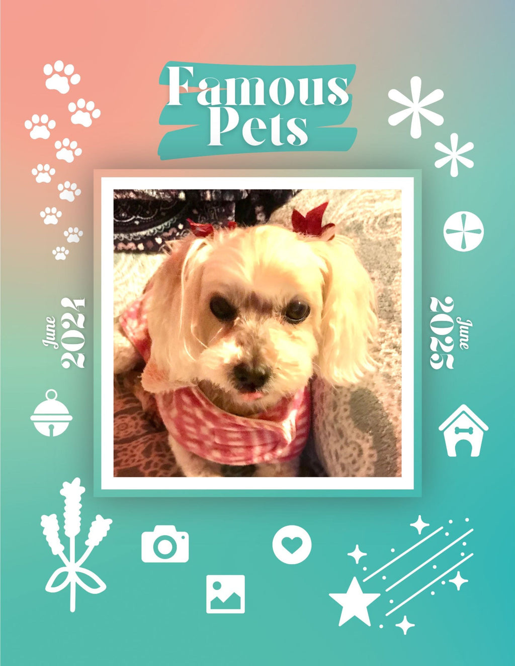Famous Pets: June 2024-June 2025 Wall Calendar (Pre-Order)