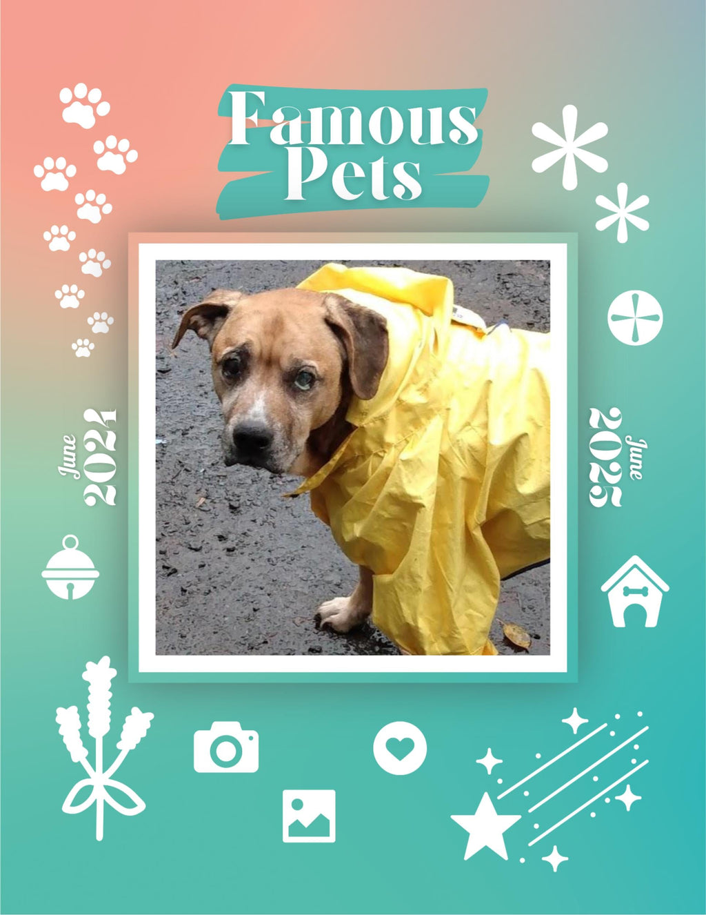 Famous Pets: June 2024-June 2025 Wall Calendar (Pre-Order)
