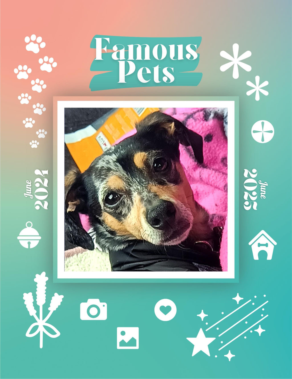 Famous Pets: June 2024-June 2025 Wall Calendar (Pre-Order)