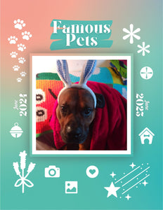 Famous Pets: June 2024-June 2025 Wall Calendar (Pre-Order)
