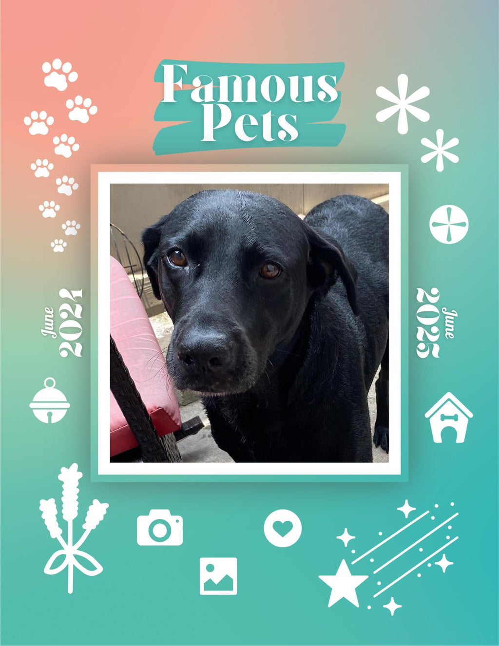 Famous Pets: June 2024-June 2025 Wall Calendar (Pre-Order)