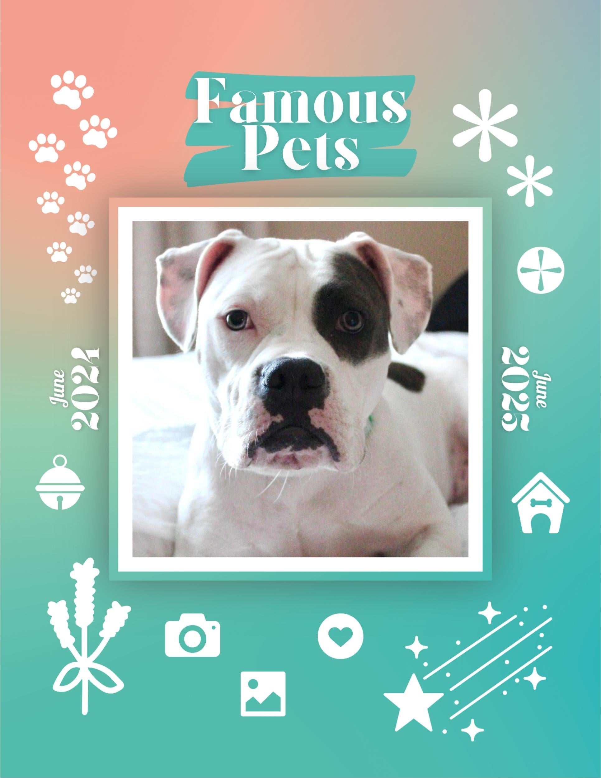 Famous Pets: June 2024-June 2025 Wall Calendar (Pre-Order)