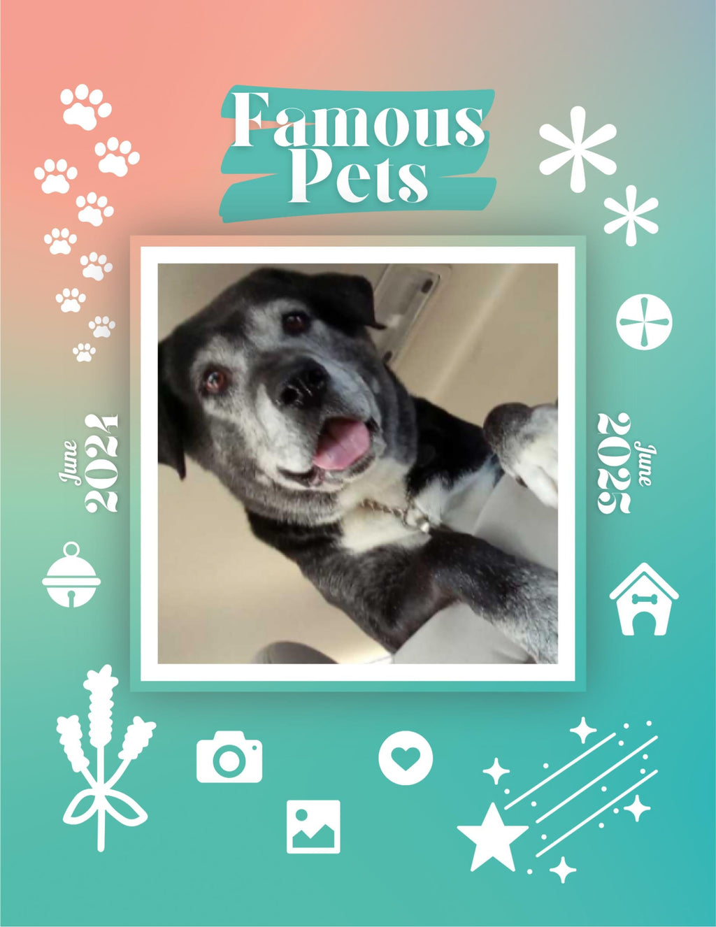 Famous Pets: June 2024-June 2025 Wall Calendar (Pre-Order)