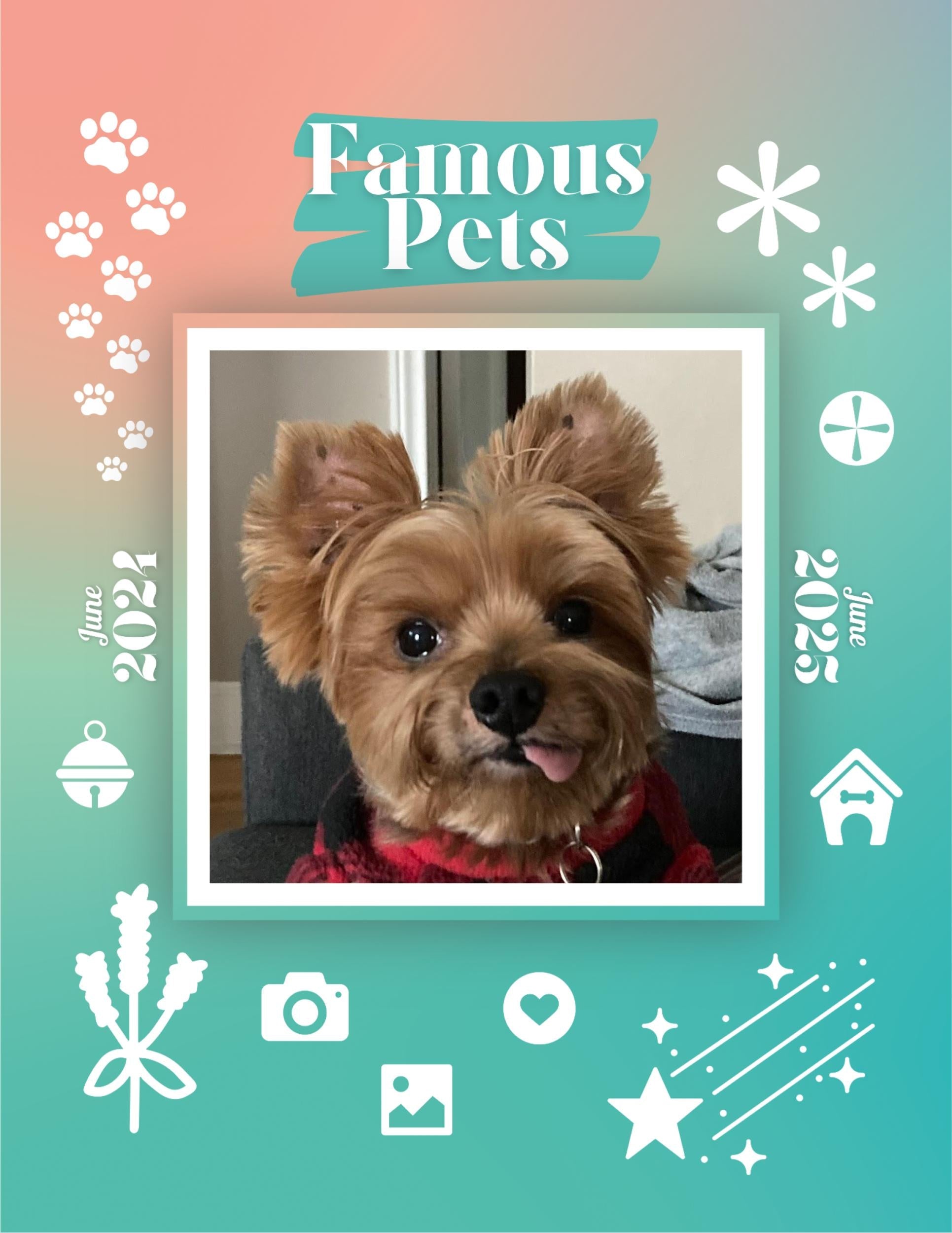 Famous Pets: June 2024-June 2025 Wall Calendar (Pre-Order)