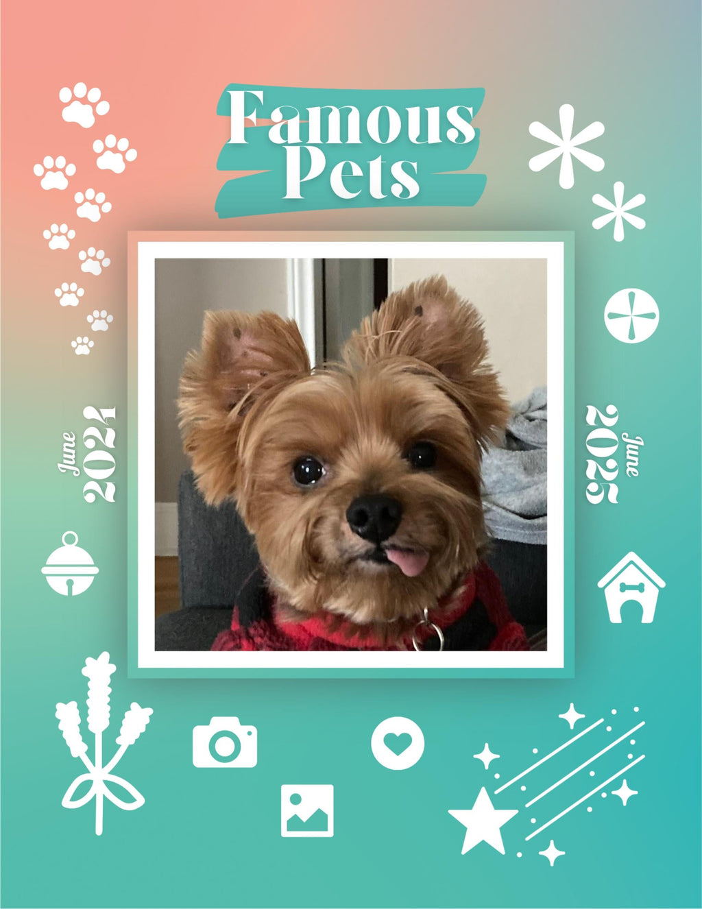 Famous Pets: June 2024-June 2025 Wall Calendar (Pre-Order)