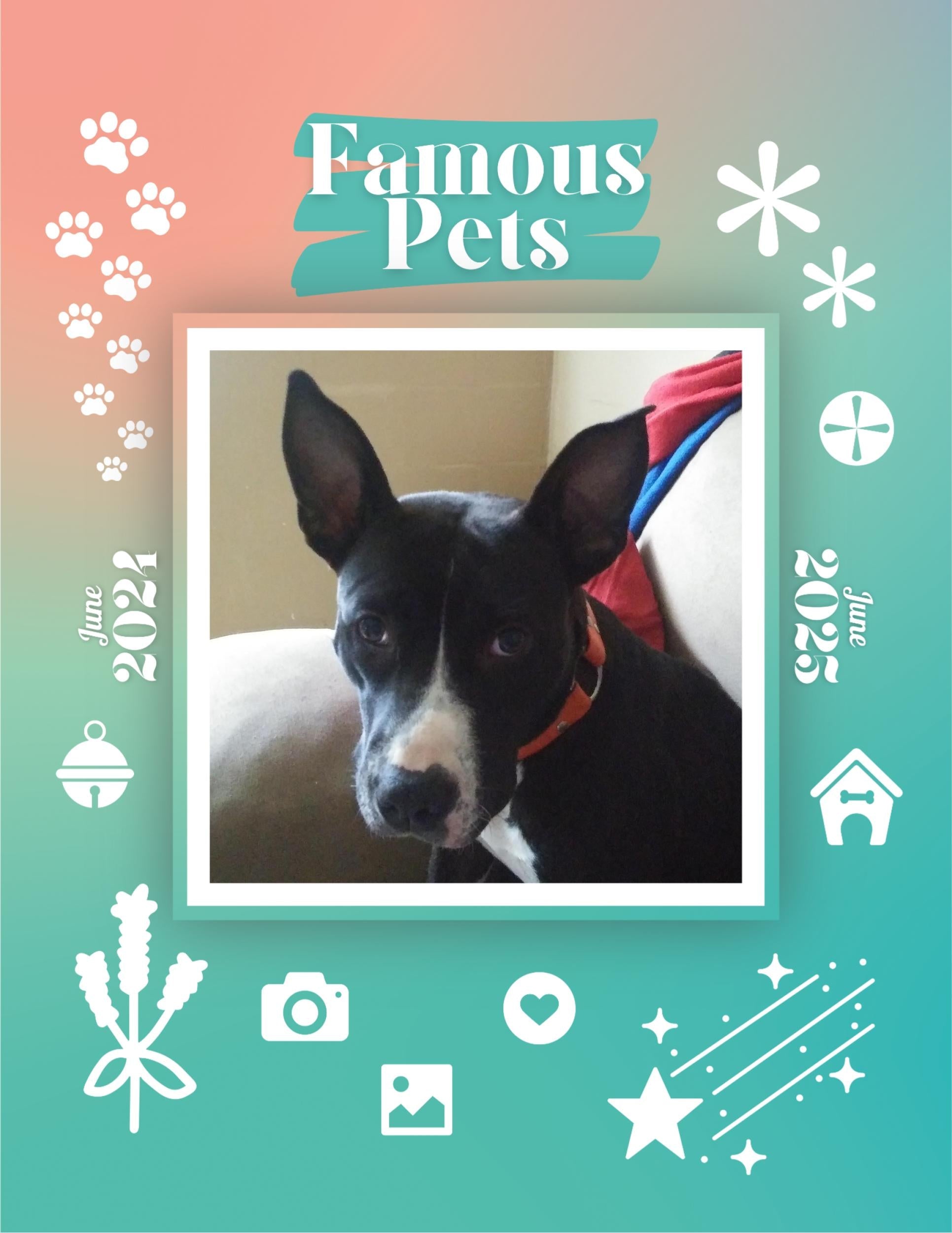 Famous Pets: June 2024-June 2025 Wall Calendar (Pre-Order)