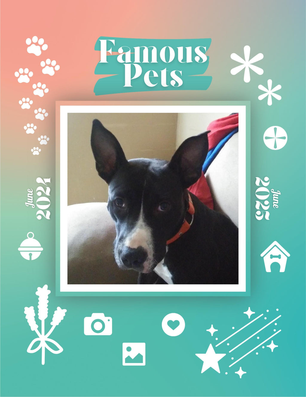 Famous Pets: June 2024-June 2025 Wall Calendar (Pre-Order)