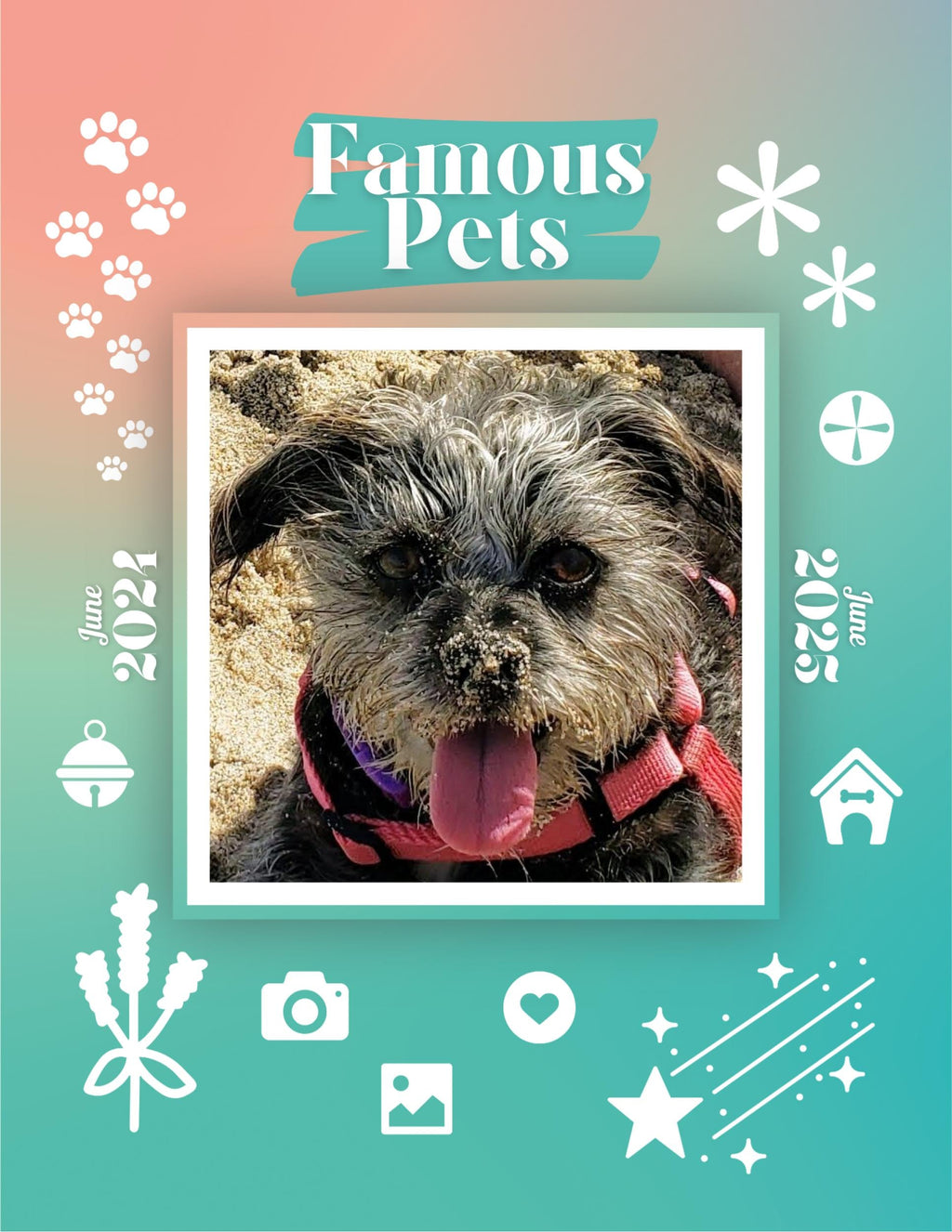 Famous Pets: June 2024-June 2025 Wall Calendar (Pre-Order)