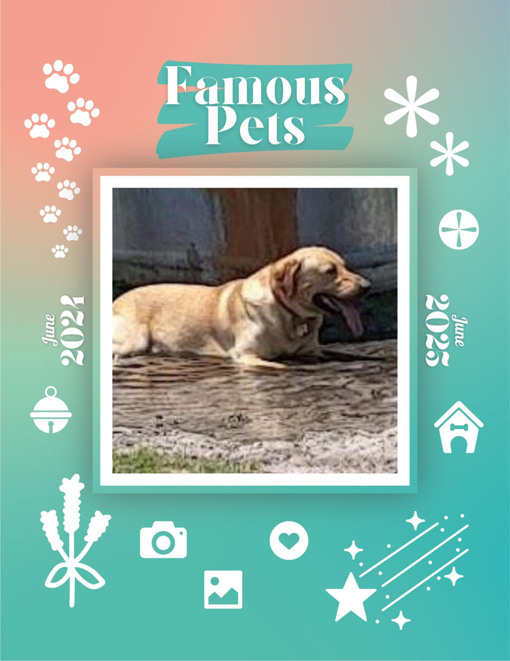 Famous Pets: June 2024-June 2025 Wall Calendar (Pre-Order)