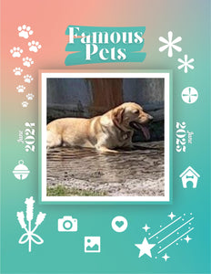 Famous Pets: June 2024-June 2025 Wall Calendar (Pre-Order)
