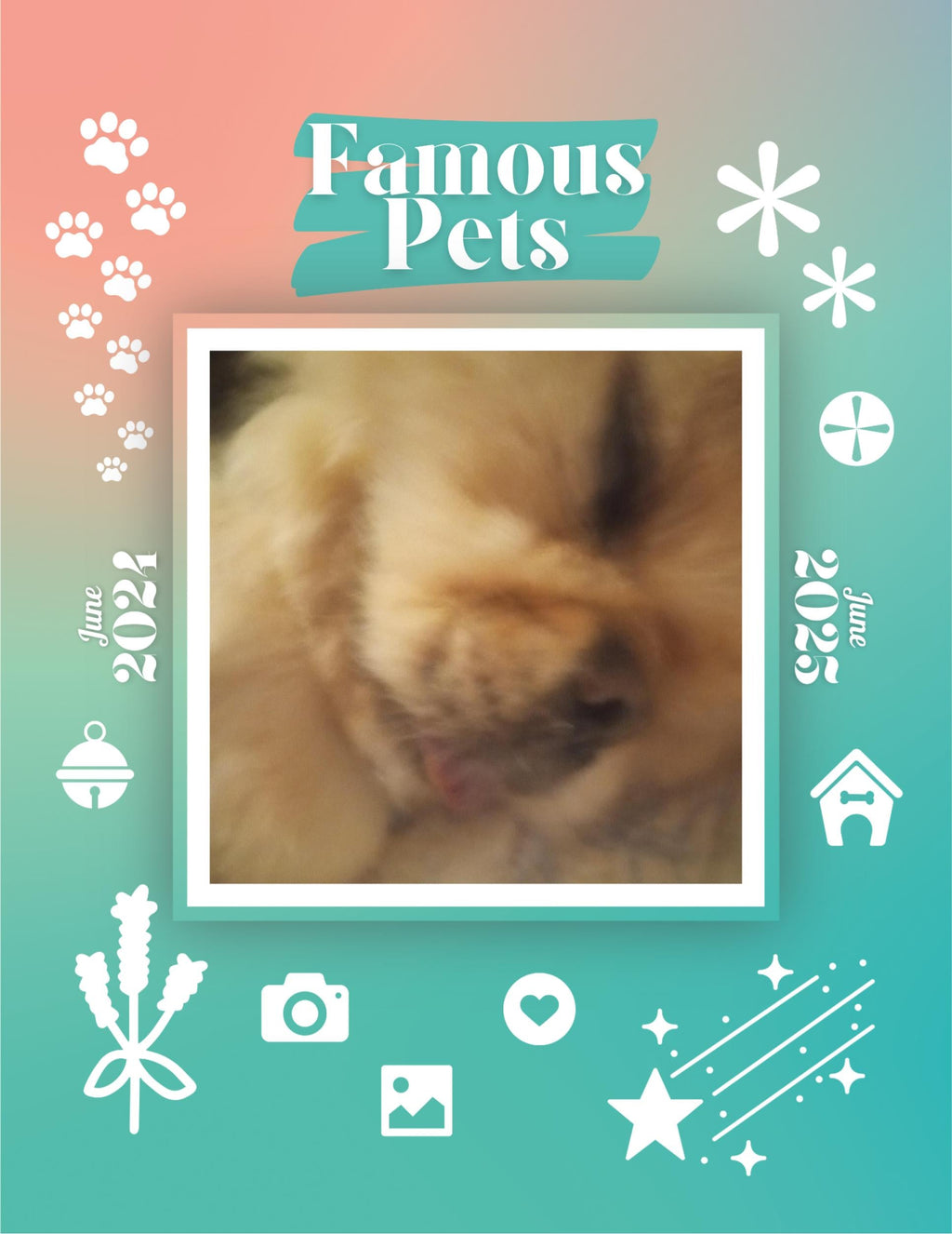 Famous Pets: June 2024-June 2025 Wall Calendar (Pre-Order)