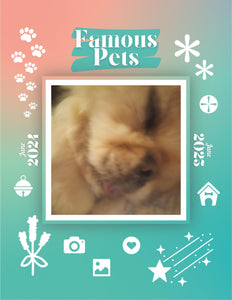 Famous Pets: June 2024-June 2025 Wall Calendar (Pre-Order)