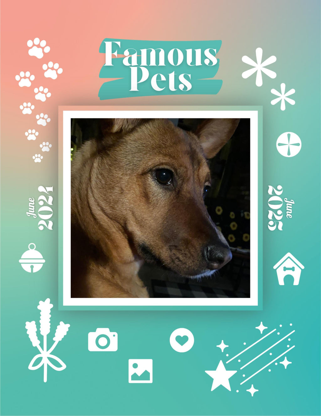 Famous Pets: June 2024-June 2025 Wall Calendar (Pre-Order)