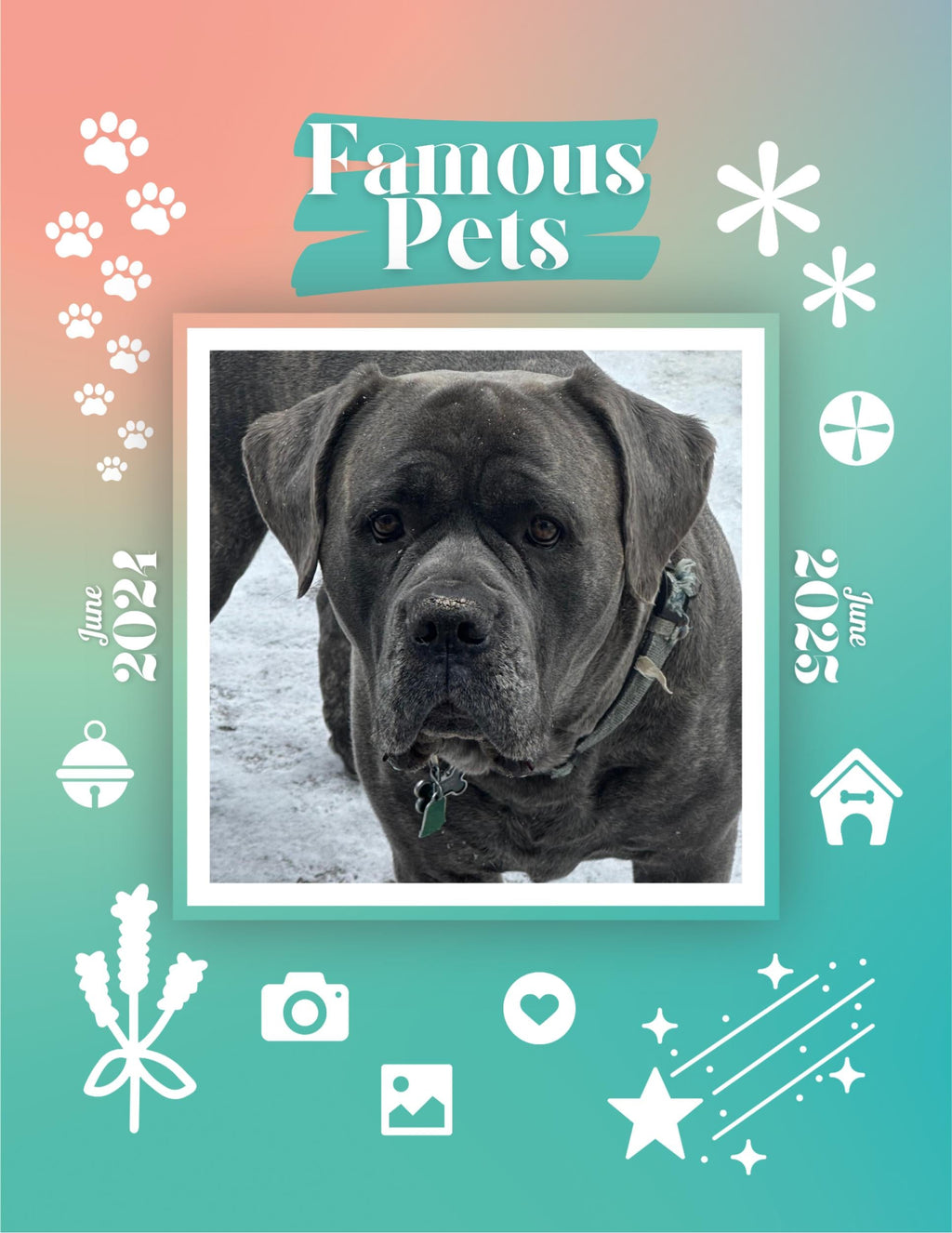 Famous Pets: June 2024-June 2025 Wall Calendar (Pre-Order)