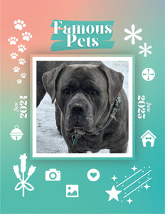 Famous Pets: June 2024-June 2025 Wall Calendar (Pre-Order)