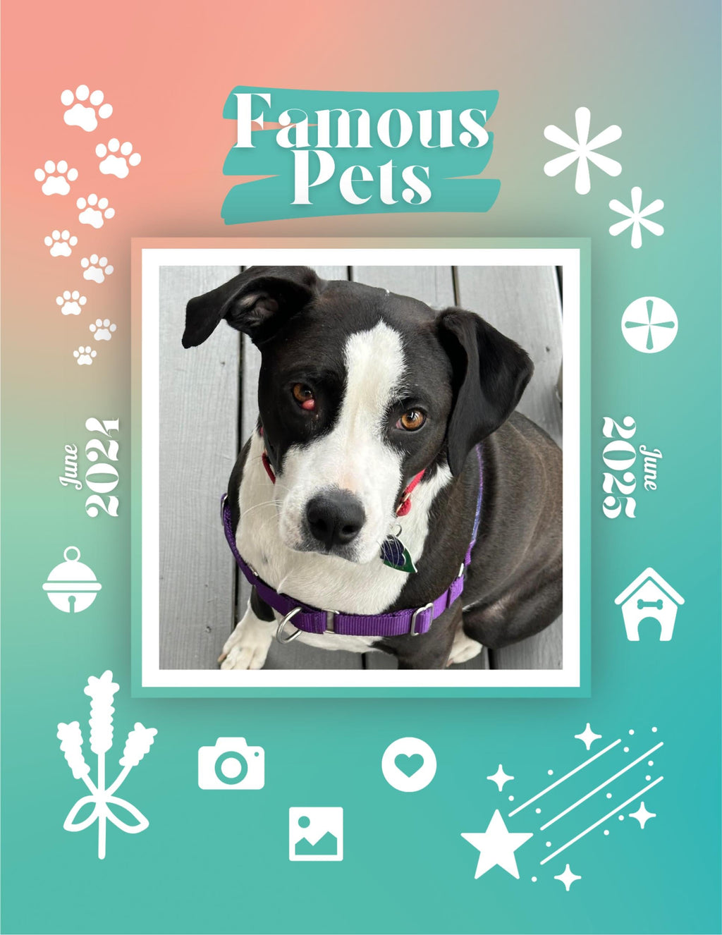Famous Pets: June 2024-June 2025 Wall Calendar (Pre-Order)