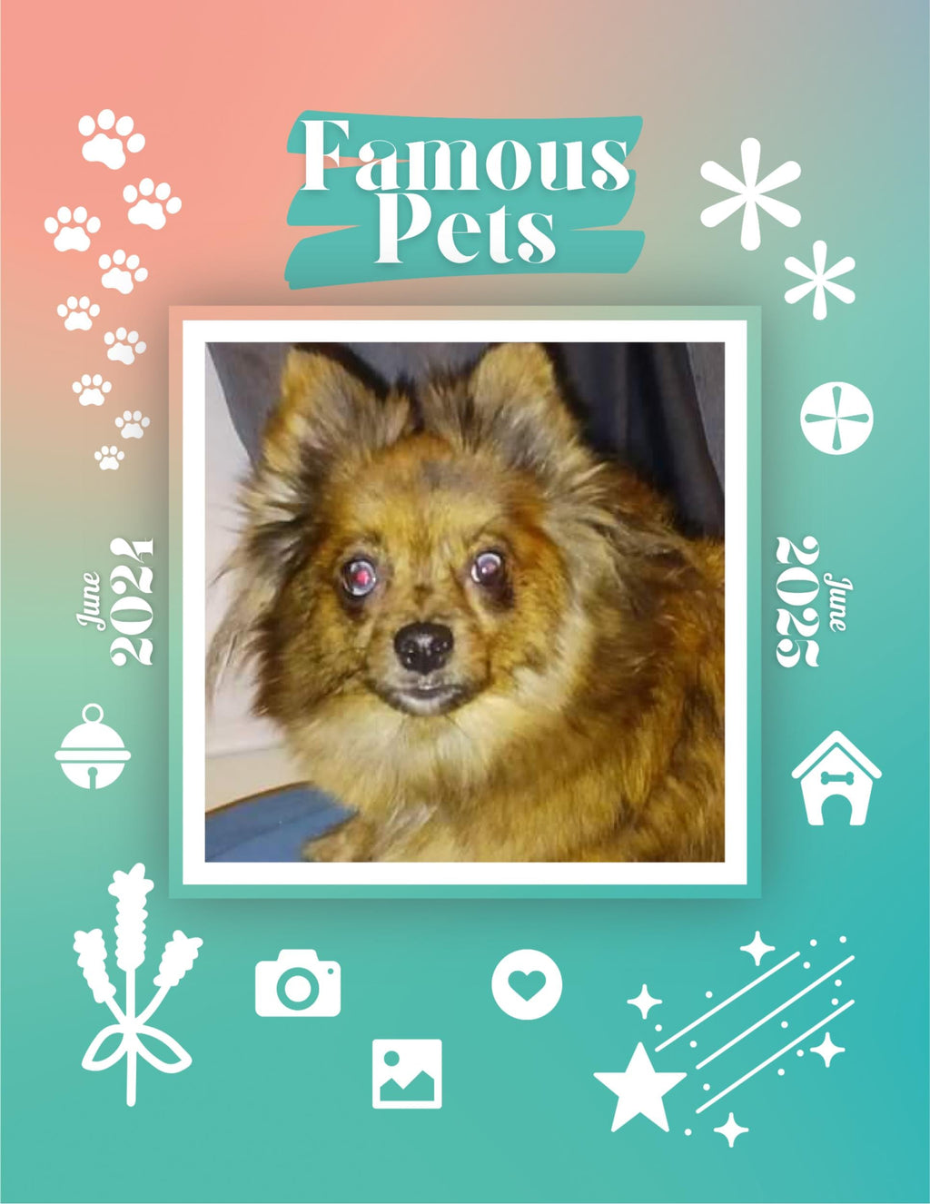 Famous Pets: June 2024-June 2025 Wall Calendar (Pre-Order)