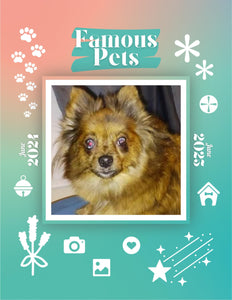 Famous Pets: June 2024-June 2025 Wall Calendar (Pre-Order)