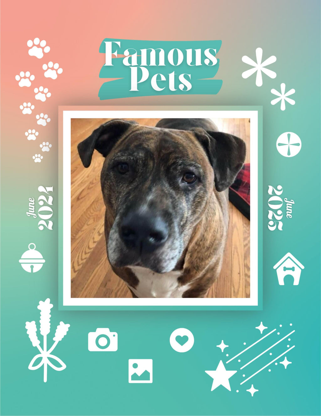 Famous Pets: June 2024-June 2025 Wall Calendar (Pre-Order)
