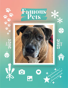 Famous Pets: June 2024-June 2025 Wall Calendar (Pre-Order)