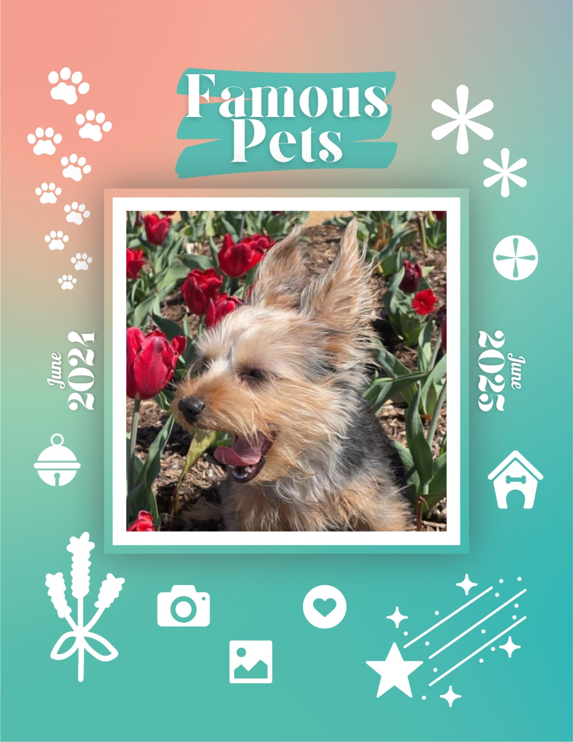 Famous Pets: June 2024-June 2025 Wall Calendar (Pre-Order)