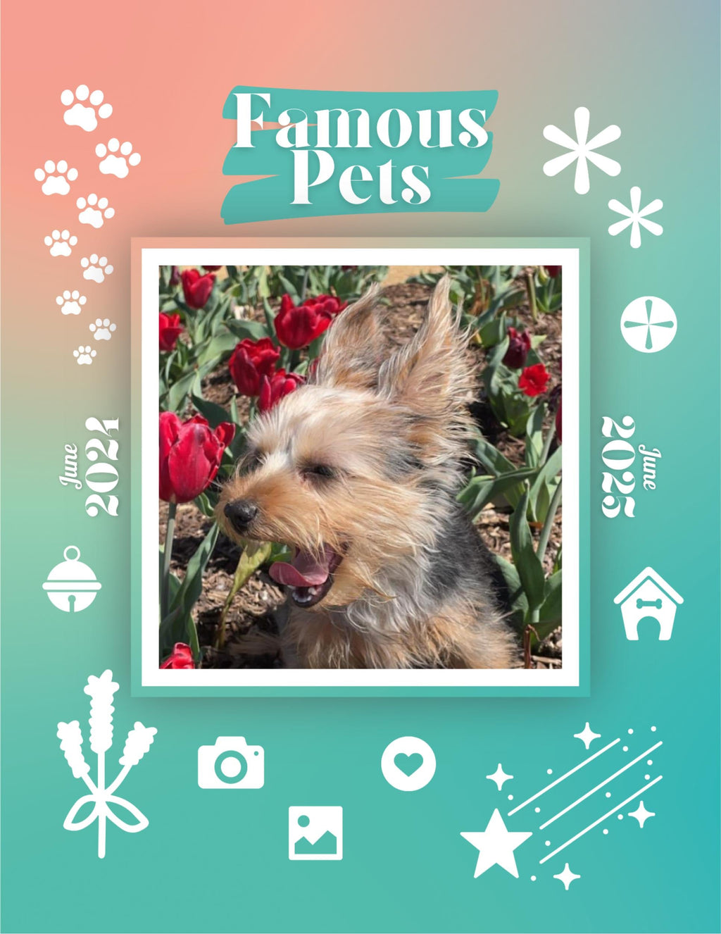 Famous Pets: June 2024-June 2025 Wall Calendar (Pre-Order)