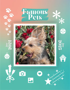 Famous Pets: June 2024-June 2025 Wall Calendar (Pre-Order)