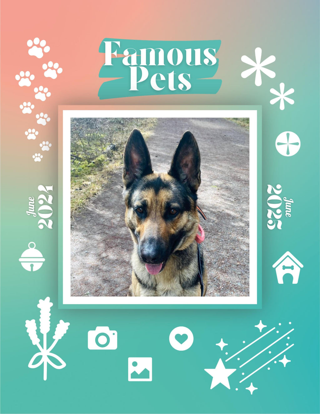 Famous Pets: June 2024-June 2025 Wall Calendar (Pre-Order)