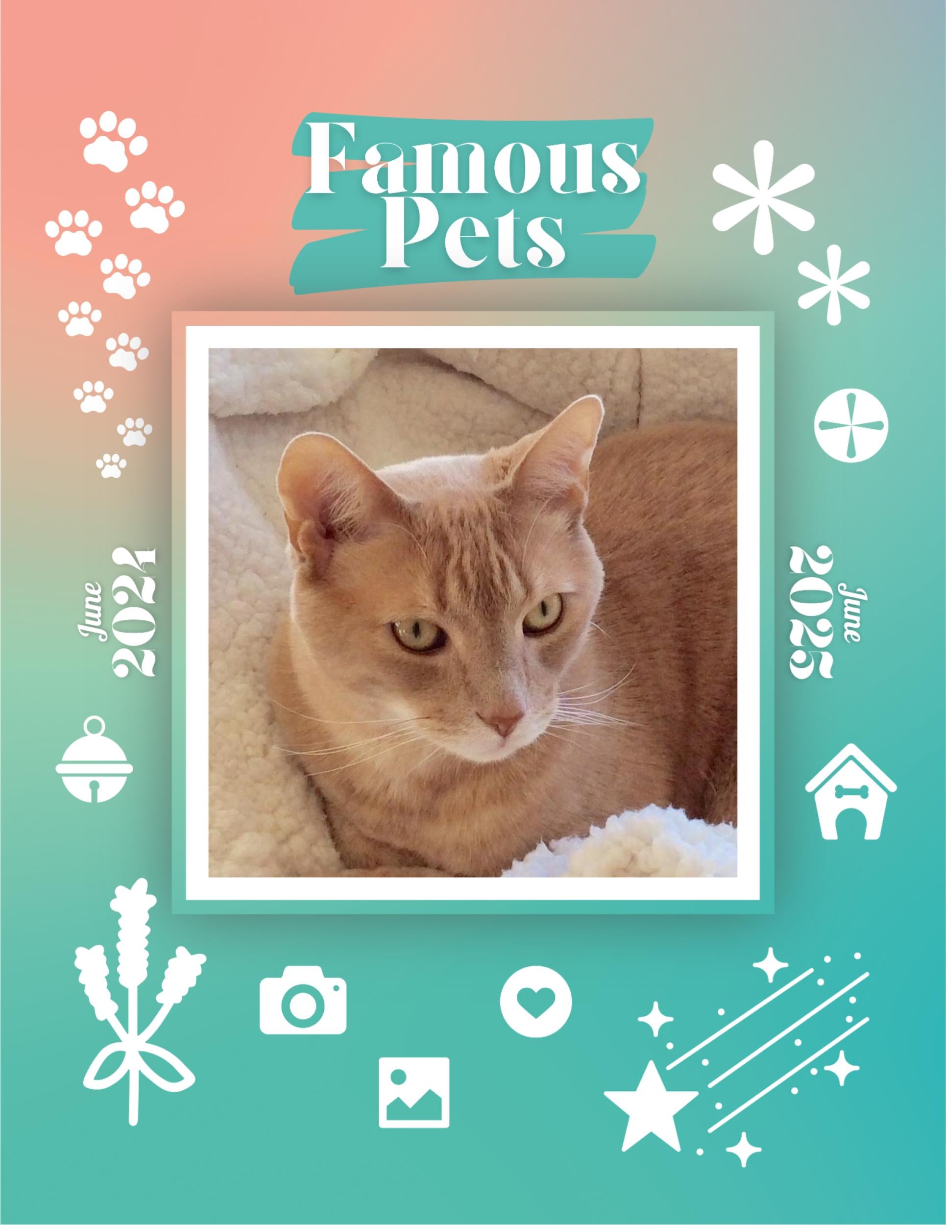 Famous Pets: June 2024-June 2025 Wall Calendar (Pre-Order)