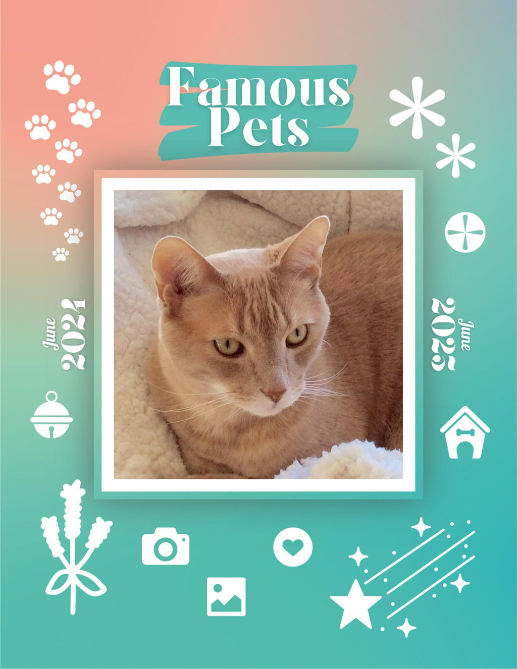 Famous Pets: June 2024-June 2025 Wall Calendar (Pre-Order)