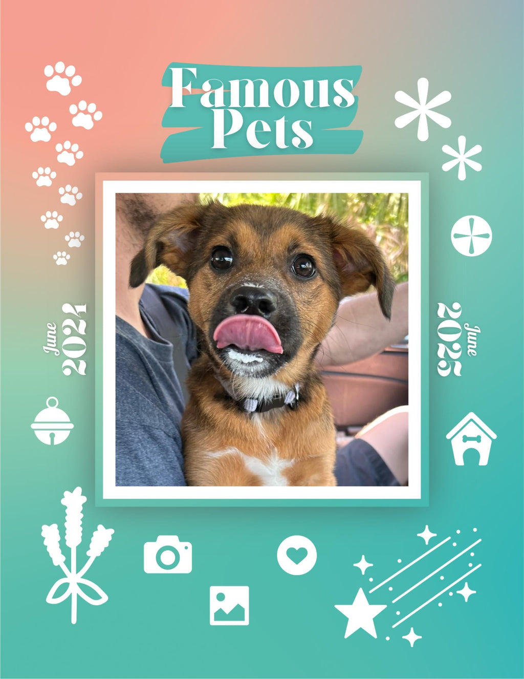 Famous Pets: June 2024-June 2025 Wall Calendar (Pre-Order)