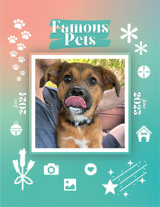 Famous Pets: June 2024-June 2025 Wall Calendar (Pre-Order)