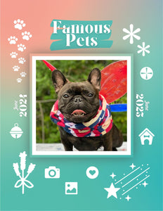 Famous Pets: June 2024-June 2025 Wall Calendar (Pre-Order)