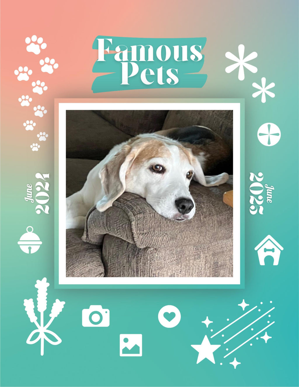 Famous Pets: June 2024-June 2025 Wall Calendar (Pre-Order)