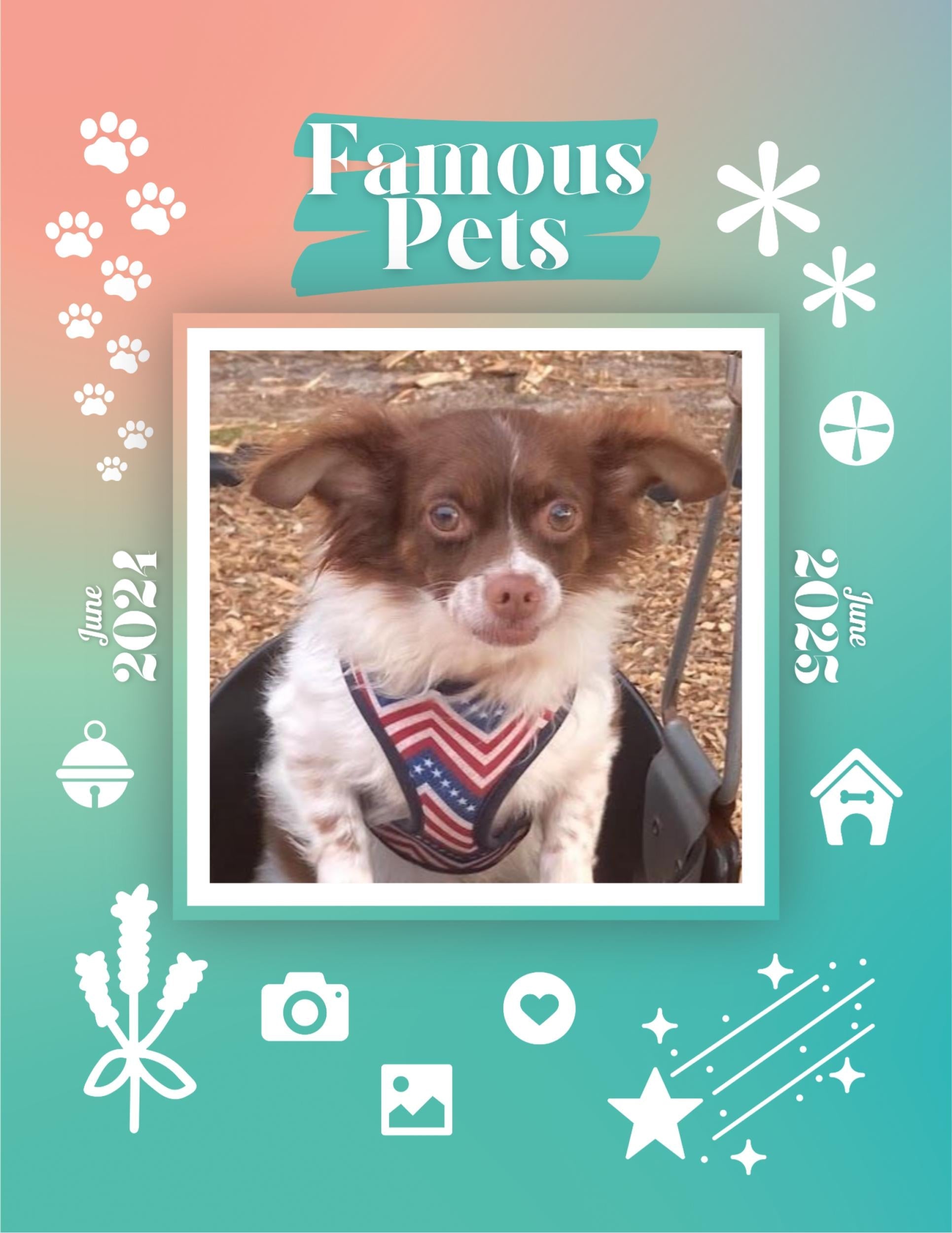 Famous Pets: June 2024-June 2025 Wall Calendar (Pre-Order)