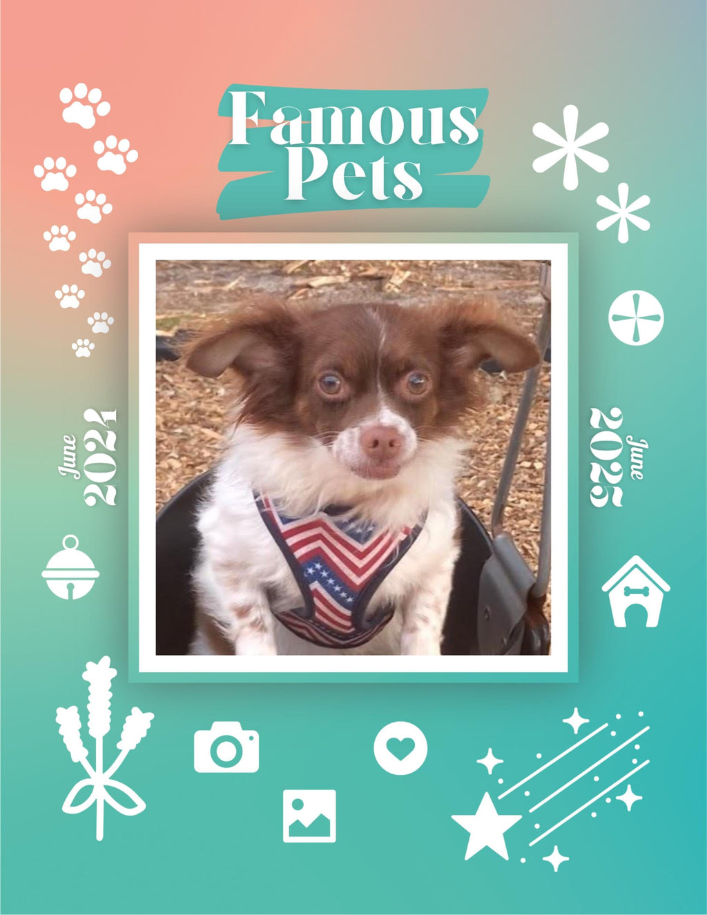 Famous Pets: June 2024-June 2025 Wall Calendar (Pre-Order)