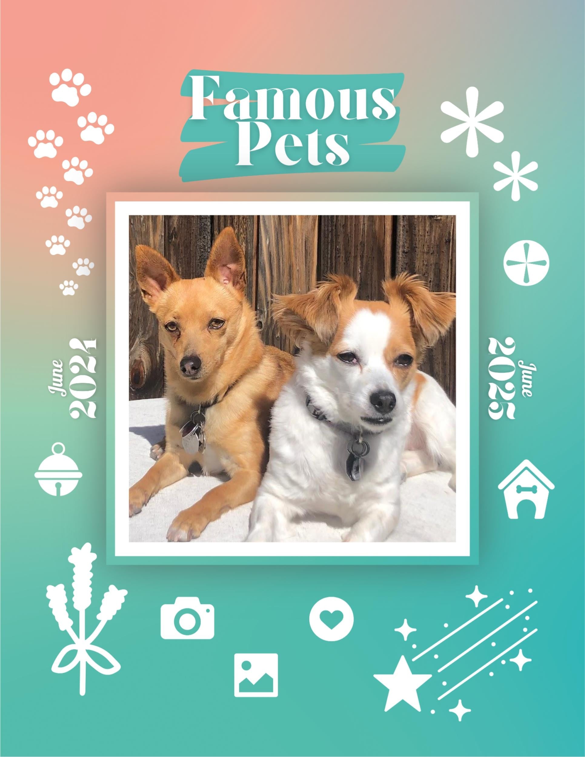 Famous Pets: June 2024-June 2025 Wall Calendar (Pre-Order)