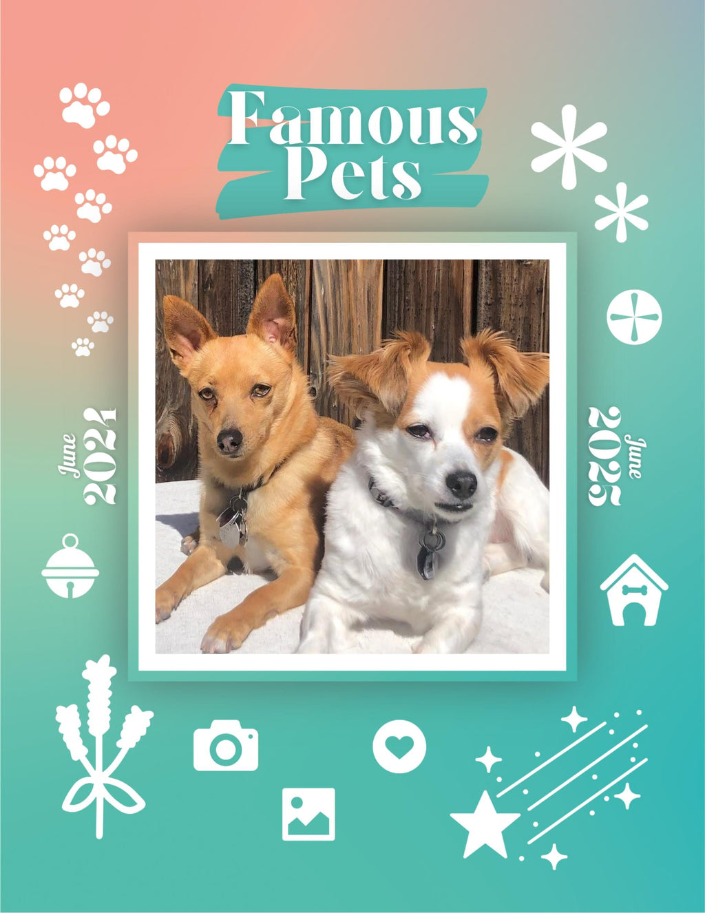 Famous Pets: June 2024-June 2025 Wall Calendar (Pre-Order)