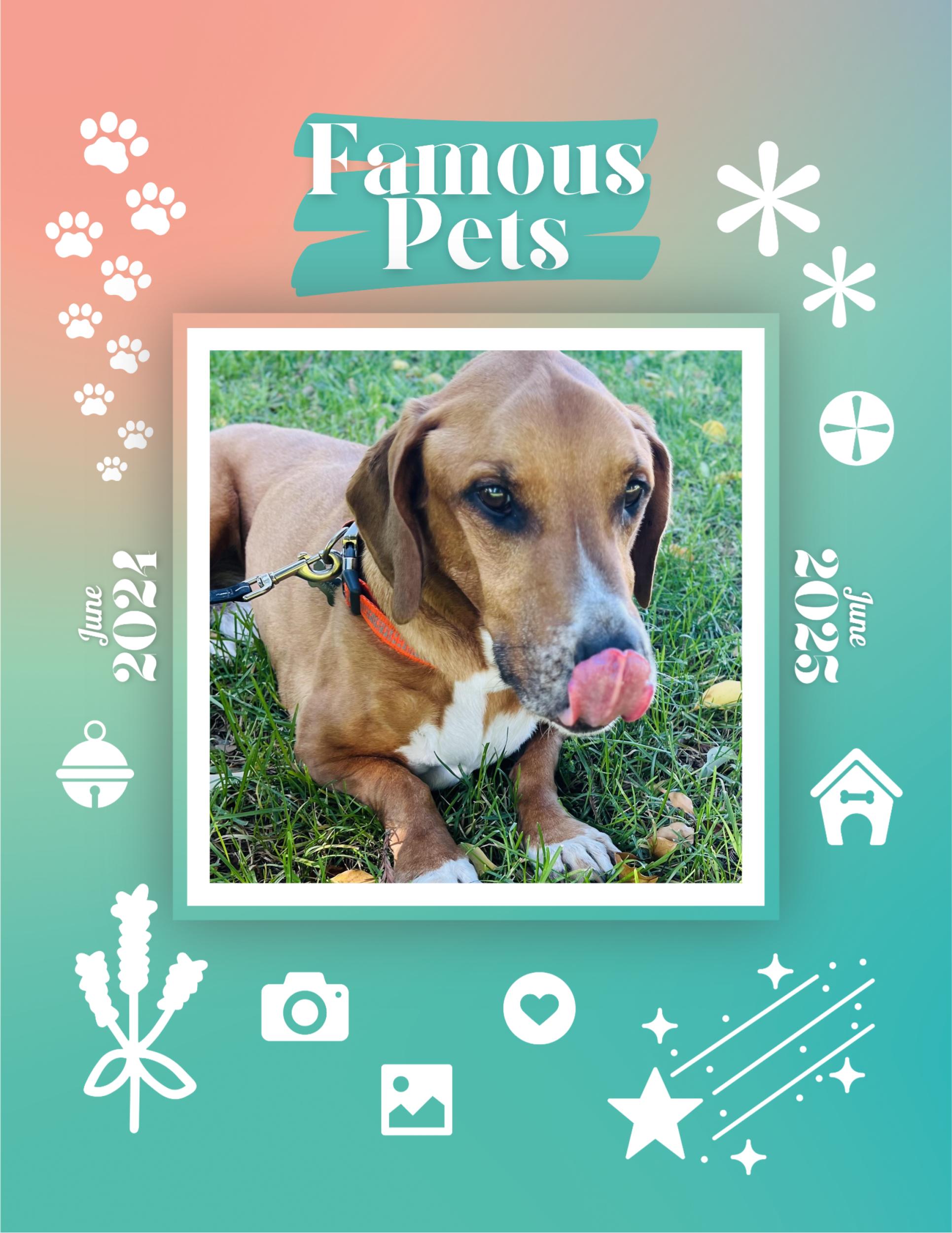 Famous Pets: June 2024-June 2025 Wall Calendar (Pre-Order)