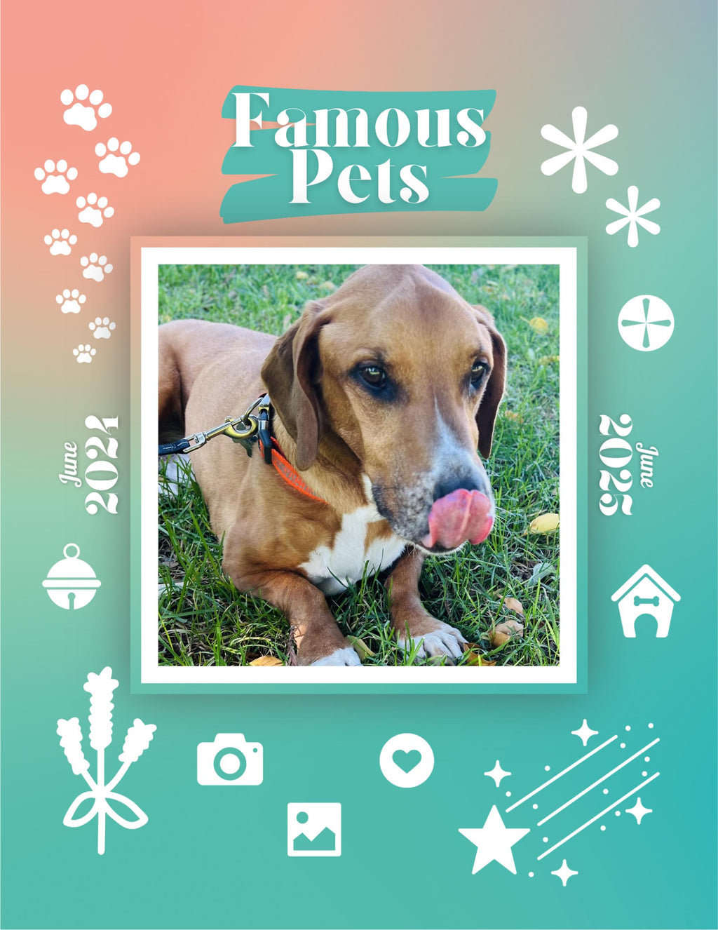 Famous Pets: June 2024-June 2025 Wall Calendar (Pre-Order)