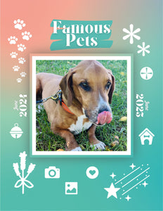 Famous Pets: June 2024-June 2025 Wall Calendar (Pre-Order)