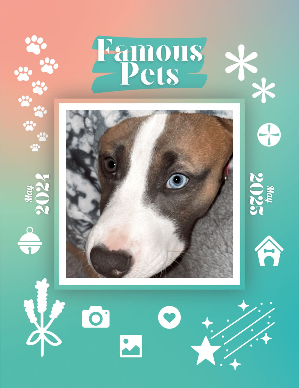 Famous Pets: June 2024-June 2025 Wall Calendar (Pre-Order)
