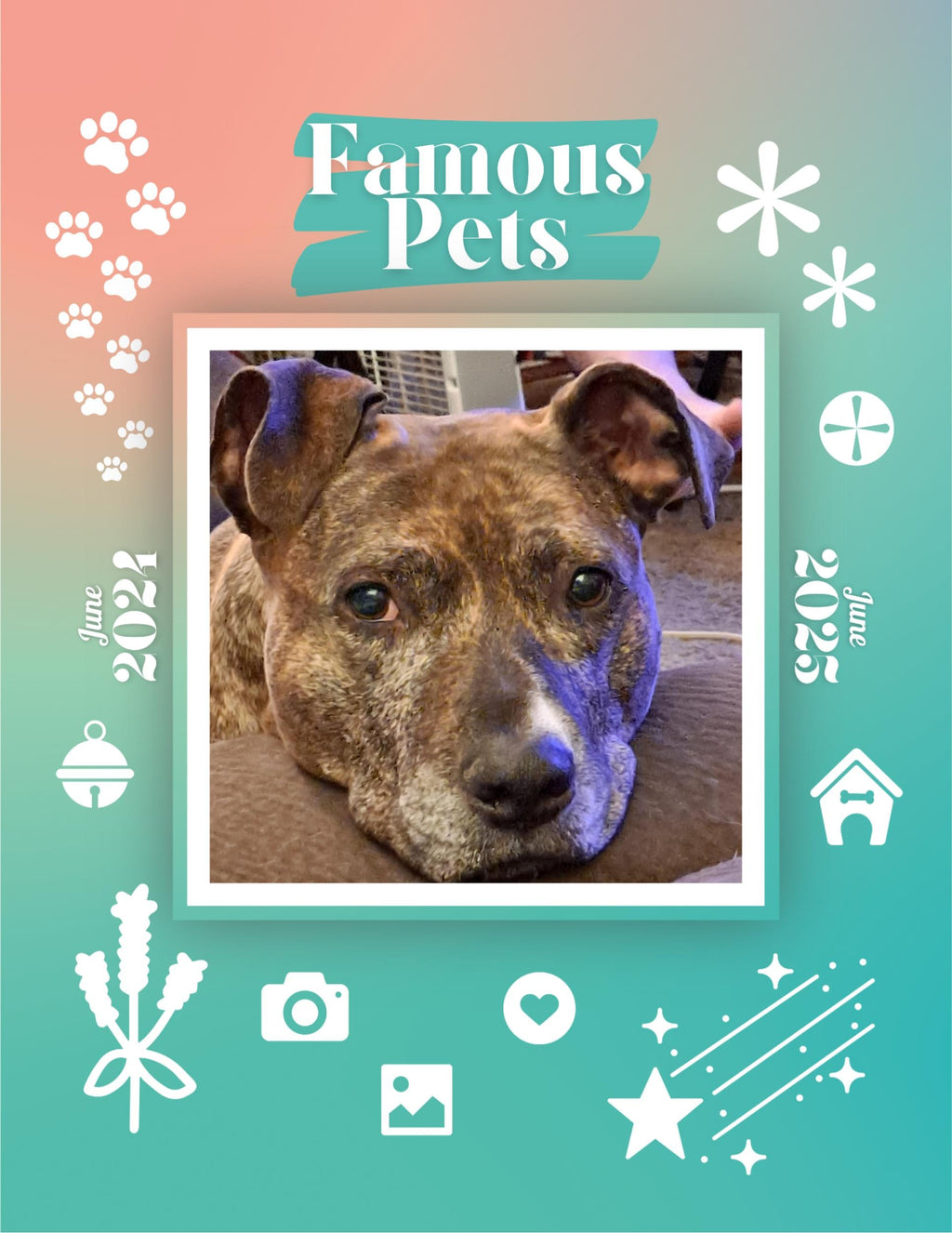 Famous Pets: June 2024-June 2025 Wall Calendar (Pre-Order)