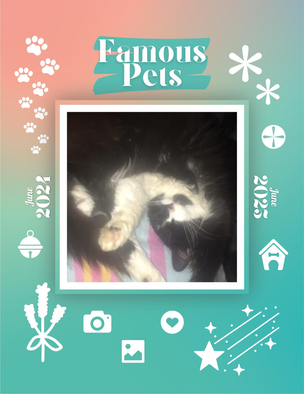 Famous Pets: June 2024-June 2025 Wall Calendar (Pre-Order)