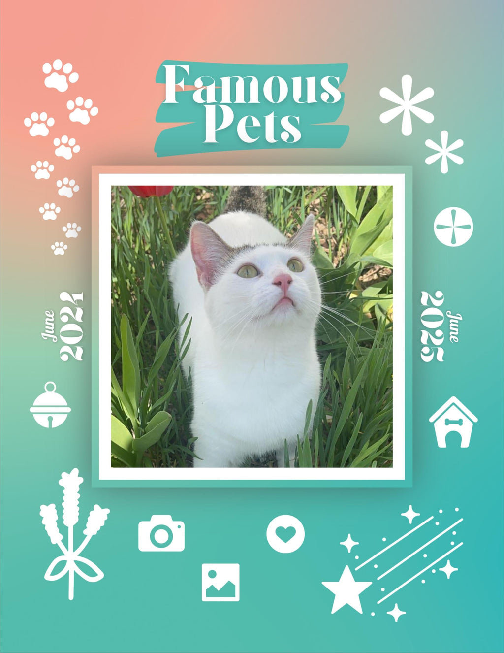 Famous Pets: June 2024-June 2025 Wall Calendar (Pre-Order)