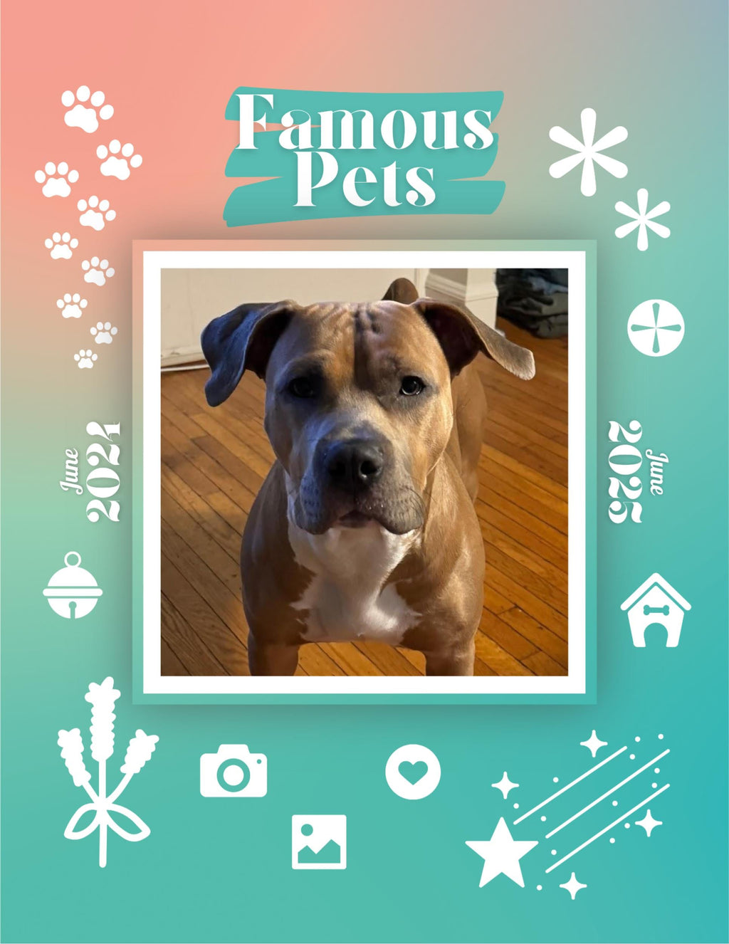 Famous Pets: June 2024-June 2025 Wall Calendar (Pre-Order)