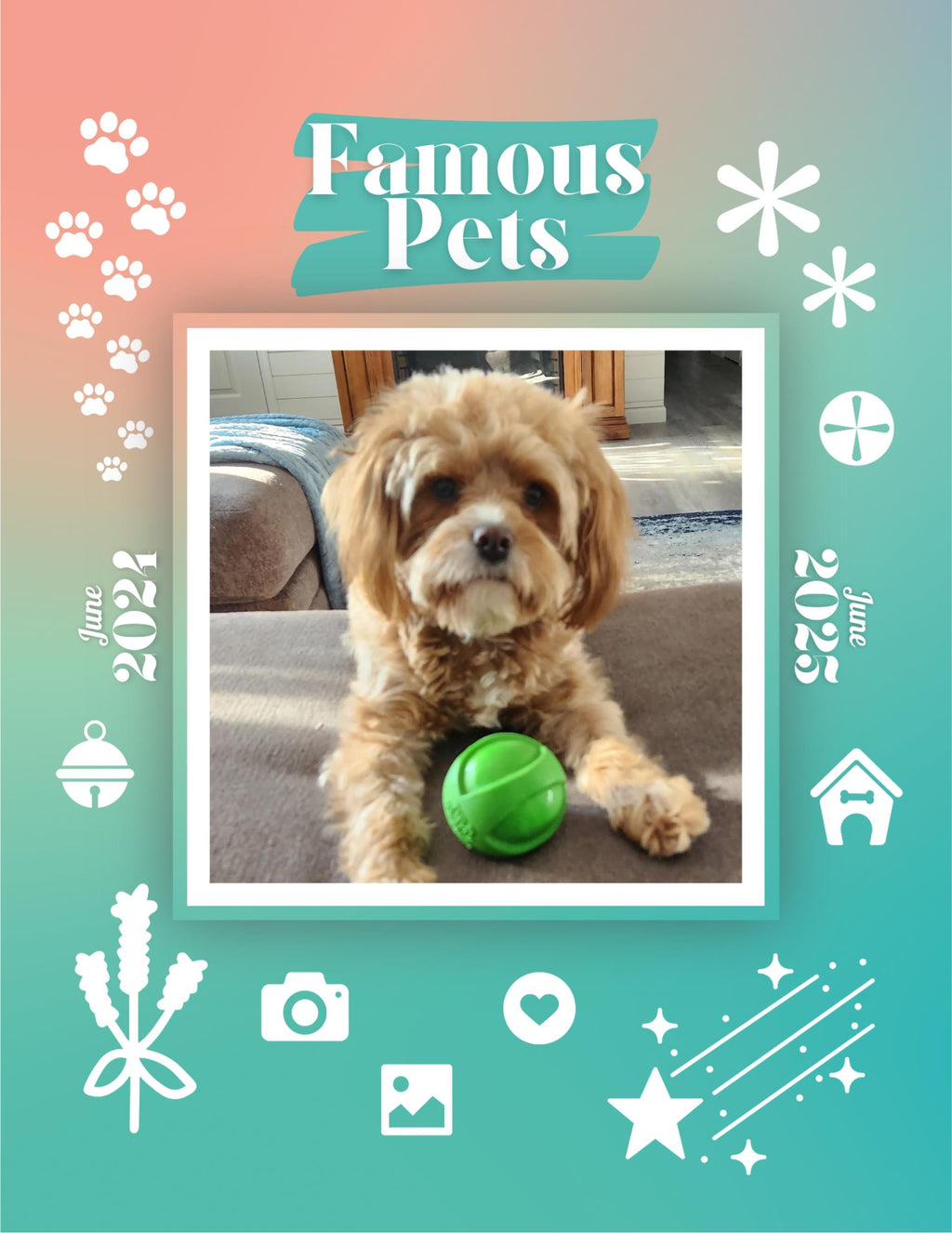 Famous Pets: June 2024-June 2025 Wall Calendar (Pre-Order)