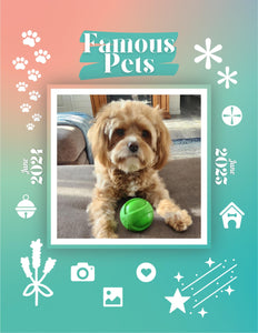 Famous Pets: June 2024-June 2025 Wall Calendar (Pre-Order)